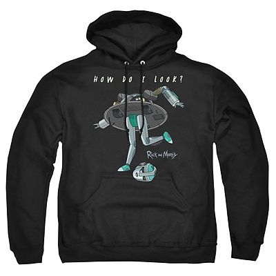 Rick And Morty How Do I Look Adult Pull Over Hoodie