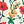 Egret Poppy Floral