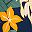 Navy Floral Blooms