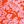 Orange Floral Medley