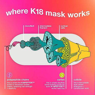 Repair + Protect Minis Kit