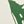 Egret Green Leaves