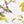 White Garden Floral