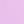Wild Lilac