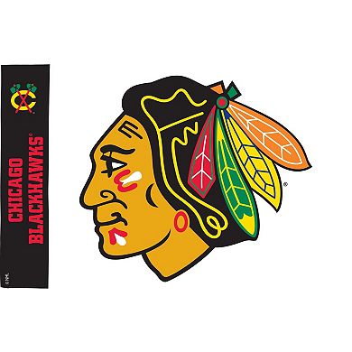 Tervis Chicago Blackhawks Four-Pack 16oz. Classic Tumbler Set