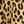Tan Jana Leopard