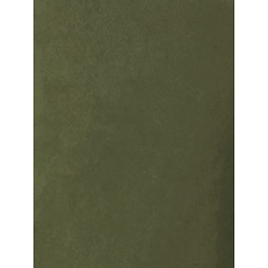 Womens' Velvet Elastic Waist Side Zipper Narrow Leg Casual Pants