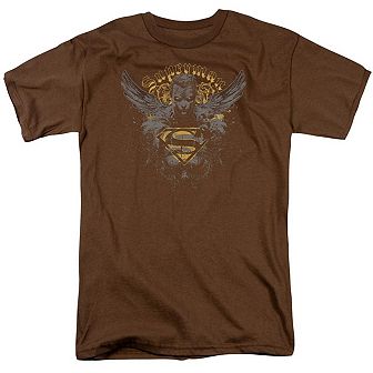 Superman Stand Your Ground Short Sleeve Adult T-shirt