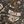 Tan Nature Camo
