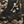 Tan Nature Camo