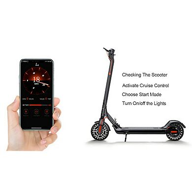 GlareWheel Folding Electric Scooter