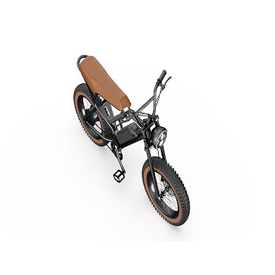 GlareWheel 20" Fat Tire Electric Bicycle EB-X7PRO