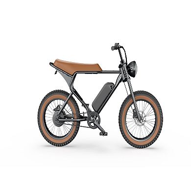 GlareWheel 20" Fat Tire Electric Bicycle EB-X7PRO