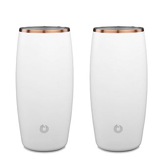 Premium Insulated Stainless Steel 18 Oz Beer Glass Set
