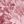 Pink Floral