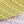 Yellow Purple