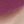 Pink Purple