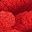 Rose Red