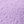Lilac Flower