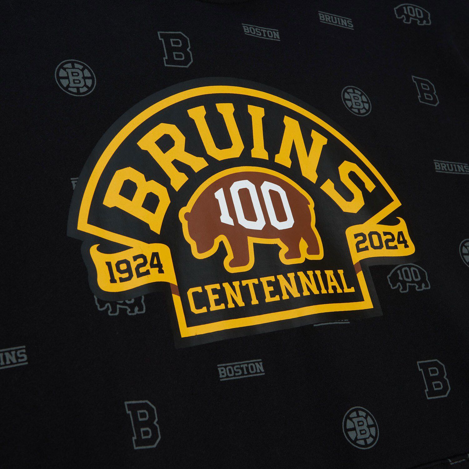 Men's Mitchell & Ness Black Boston Bruins 100th Anniversary Allover ...