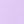 Lilac Flower
