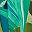 Blue Green Lime
