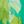 Green Yellow Lime
