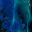 Blue Teal Multi