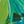 Blue Green Lime