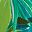 Blue Green Lime