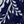 Navy Ivory