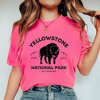 Simply Sage Market Vintage Yellowstone National Park Garment Dyed Tee