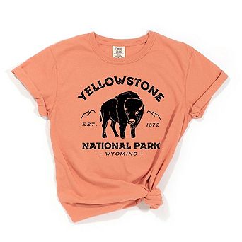 Simply Sage Market Vintage Yellowstone National Park Garment Dyed Tee