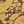 Gold Paisley