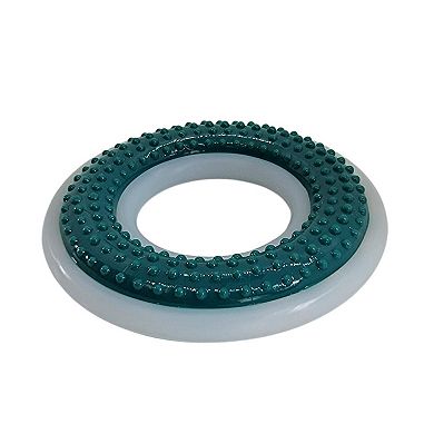 Durable Nylon/TPR Dental Dog Chew Ring 4" Diameter for Oral Care