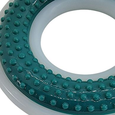 Durable Nylon/TPR Dental Dog Chew Ring 4" Diameter for Oral Care