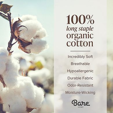 Bare Home 100% Organic Cotton Percale Fitted Sheet