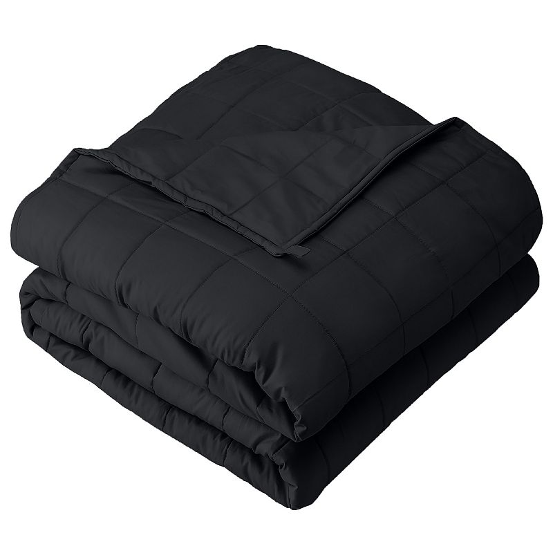 Sealy  Plush Weighted Blanket