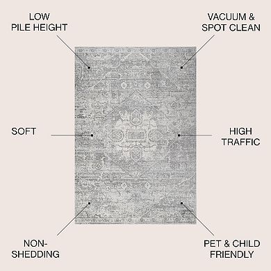 Friv Modern Vintage Medallion Area Rug