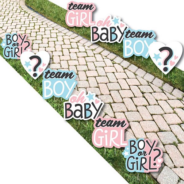 Big Dot of Happiness Baby Gender Reveal Lawn Outdoor Party Yard