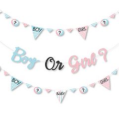 Baby Gender Reveal Glasses - Paper Card Stock Team Boy or Girl Party Photo  Booth Props Kit - 10 Count
