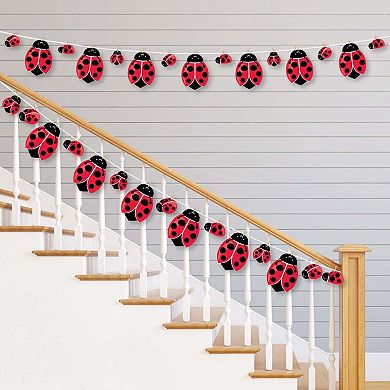 Big Dot Of Happiness Happy Little Ladybug - Party Diy Decor - Clothespin Garland Banner 44 Pc