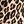 Beige Chic Leopard