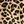 Brown Cheeta Print