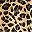 Brown Cheeta Print