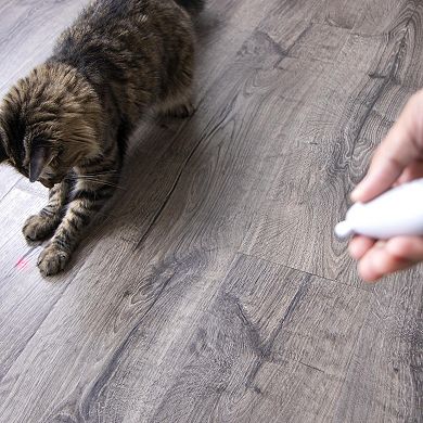SmartyKat Loco Laser Electronic Light Laser Cat Toy