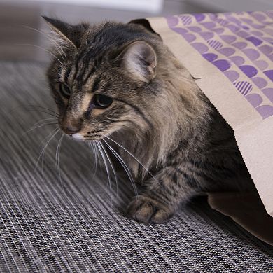 SmartyKat Catnip Caves 2-pack Catnip Infused Paper Bag Cat Toys