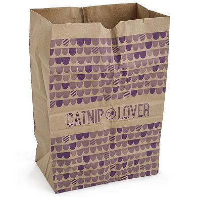SmartyKat Catnip Caves 2-pack Catnip Infused Paper Bag Cat Toys