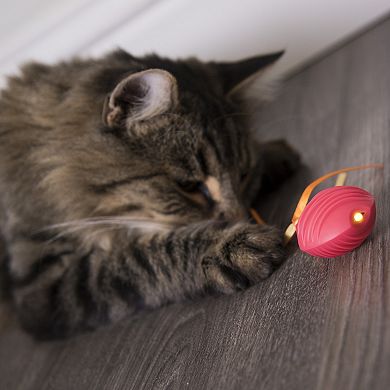 SmartyKat Crazy Cruiser Rumble Bug Electronic Motion Battery-Powered Cat Toy