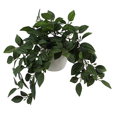 Trailing Greenery In Ceramic Pot